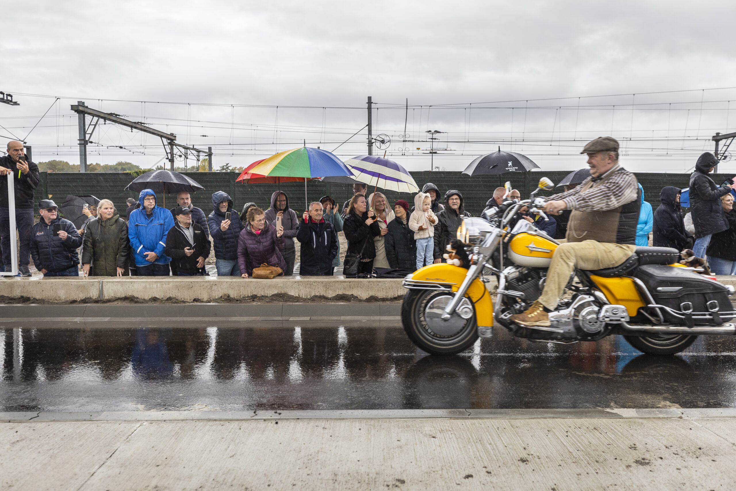 Opening Vierpaardjes